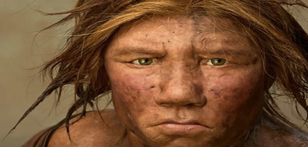 Los dientes de los neandertales indican cundo dejaron de mamar