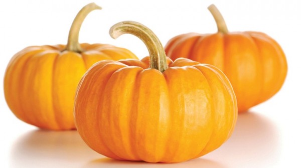 Calabaza, uno de los alimentos ms nutritivos y saludables