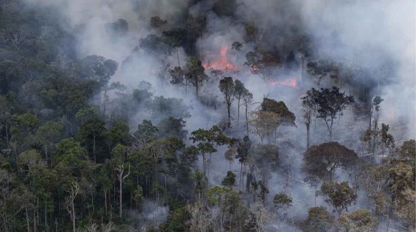 Se incendia el Amazonas y las autoridades bolivianas piden ayuda: ''Usamos ramas y pateamos el fuego''